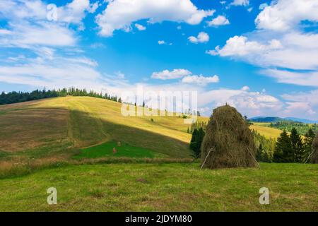 haystacks auf dem grasbewachsenen Feld auf dem Hügel. Schöne ländliche Landschaft in den karpaten an einem sonnigen Sommertag. Flauschige Wolken am blauen Himmel in e Stockfoto