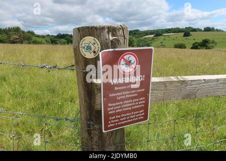 Warnticks. Lyme-Borreliose. Wessex-Fahrweg. Wiltshire. Dorset. West Country. Südwesten. England. VEREINIGTES KÖNIGREICH Stockfoto