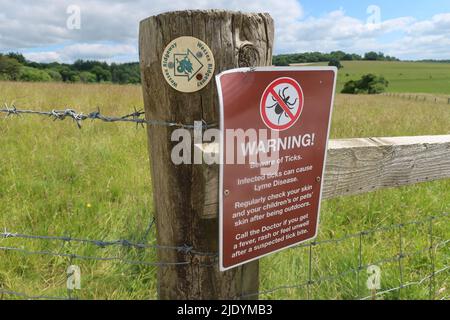 Warnticks. Lyme-Borreliose. Wessex-Fahrweg. Wiltshire. Dorset. West Country. Südwesten. England. VEREINIGTES KÖNIGREICH Stockfoto