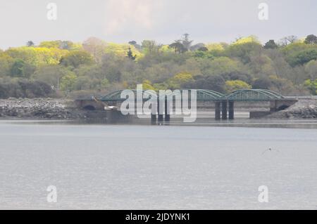 Eisenbahnbrücke auf Fota Island Cork Stockfoto