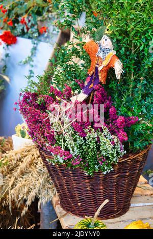 Herbstliche Dekoration mit den Früchten und Gemüse der Region. Traditionelles Erntefest. Detailreiche Handwerkskunst Stockfoto