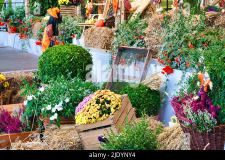 Herbstliche Dekoration mit den Früchten und Gemüse der Region. Traditionelles Erntefest. Detailreiche Handwerkskunst Stockfoto