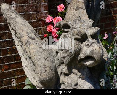 Nahaufnahme einer Kalkstein-griffin-Skulptur in den Ziergärten von Polesden Lacey bei Dorking Surrey England UK Stockfoto