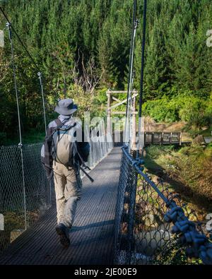 Mann, der auf der Schaukelbrücke im Tangoio Walkway, Hawke’s Bay, läuft. Vertikales Format. Stockfoto