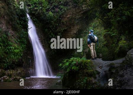 Touristen bewundern die Wasserfälle von Te Ana, Hawke’s Bay. Stockfoto