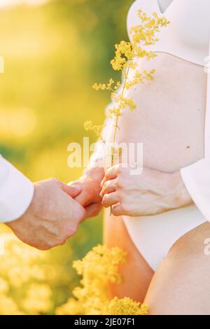 Die Hand des Mannes hält die Hand der Schwangeren, die in einem weißen Hemd und Bikini auf der Wiese zwischen gelben Blumen steht. Nahaufnahme zu ihrem Bauch. Stockfoto