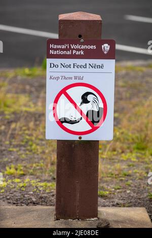 Verbotsschild, hawaiianische Gänsefütterung verboten, nicht füttern Nene, Hawai'i Volcanoes National Park, Big Island, Hawaii, USA Stockfoto