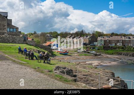 Craster Northumberland, Blick auf die Menschen, die im Sommer auf Bänken sitzen und den Blick auf den Hafen von Craster an der Küste von Northumberland, Großbritannien, genießen Stockfoto