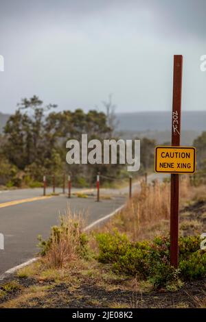 Warnschild, Vorsicht Nene Xing, Hawaiianische Gänsekreuze, Krater Rim Drive, Kilauea, Hawai'i Volcanoes National Park, Big Island, USA Stockfoto