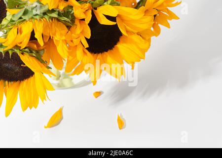 Draufsicht auf Sonnenblumenstrauß in Glasvase mit Schatten Stockfoto