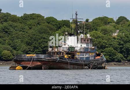 Cornwall, England, Großbritannien. 2022. Der Gladiator baute 1975 538 Tonnen, ein Schlepper, der auf dem Fluss Fal in Cornwall, Großbritannien, aufgelegt wurde Stockfoto