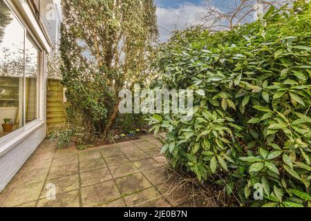 Geräumige gemütliche und gepflegte Gartenanlage mit schönen Zierpflanzen Stockfoto