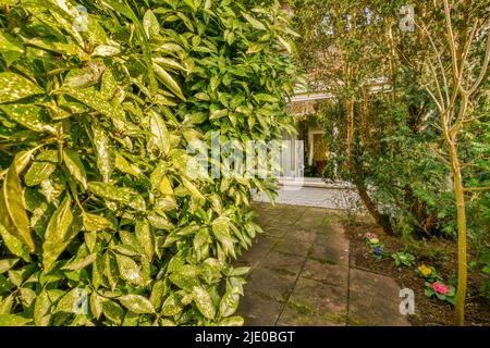 Geräumige gemütliche und gepflegte Gartenanlage mit schönen Zierpflanzen Stockfoto