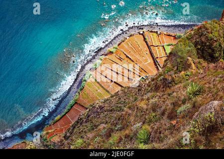 Blick vom Aussichtspunkt, Miradouro, Kap, Cabo Girao, 580 Meter hohe Meeresklippe, auf die Felder Fajas de Cabo Girao, Madeira, offiziell Stockfoto