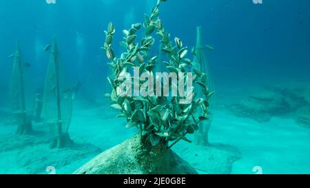 Mittelmeer, Zypern. 24.. Juni 2022. Museum der Unterwasserskulptur Ayia Napa (MUSAN). Kunstwerk Bildhauer Jason deCaires Taylor. Mittelmeer, Ayia Napa, Zypern (Bild: © Andrey Nekrasov/ZUMA Press Wire) Stockfoto