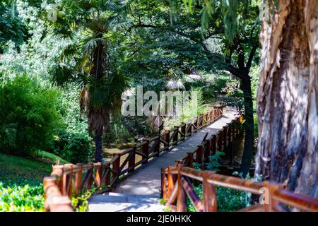 Brücke und Holzweg zwischen Bäumen und grüner Vegetation im Retiro Park in Madrid, in Spanien. Waldgebiet. Europa. Horizontale Fotografie. Stockfoto