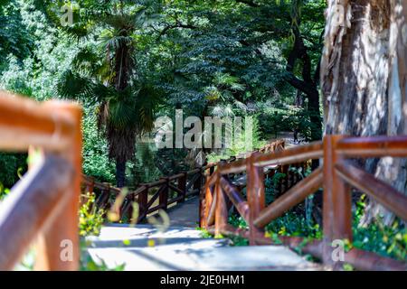 Brücke und Holzweg zwischen Bäumen und grüner Vegetation im Retiro Park in Madrid, in Spanien. Waldgebiet. Europa. Horizontale Fotografie. Stockfoto