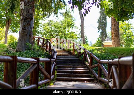 Brücke und Holzweg zwischen Bäumen und grüner Vegetation im Retiro Park in Madrid, in Spanien. Waldgebiet. Europa. Horizontale Fotografie. Stockfoto