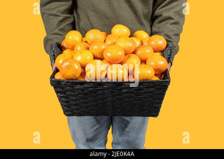 Korb mit gestapelten Mandarinen, die von einem Mann in den Händen auf einem orangefarbenen isolierten Hintergrund gehalten werden. Stockfoto