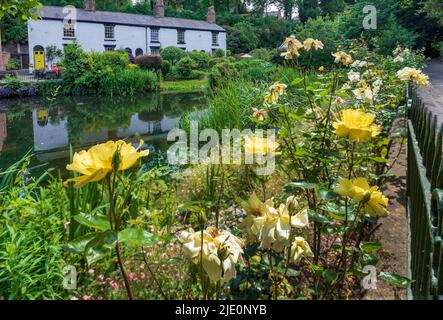 Weiß getünchte Hütten am Pool in Dingle, Lymm-Schelm. Stockfoto