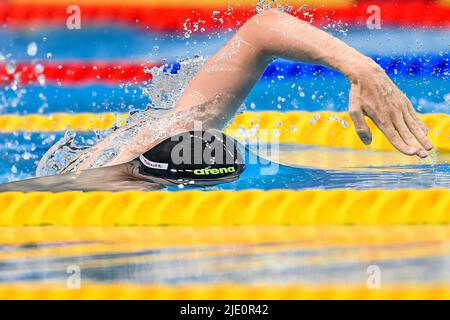 Budapest, Ungarn. 24.. Juni 2022. Florian Wellbrock aus Deutschland tritt bei den 1500m Freestyle Men-Vorläufen während der FINA 19.-Weltmeisterschaft in der Duna Arena in Budapest (Ungarn) am 24.. Juni 2022 an. Florian Wellbrock platzierte sich an erster Stelle. Foto Andrea Staccioli/Deepbluemedia/Insidefoto Kredit: Insidefoto srl/Alamy Live News Stockfoto