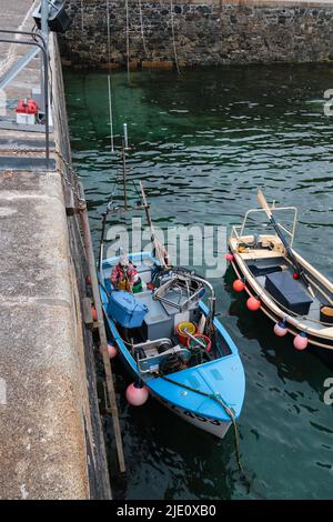 Fischer entlädt seinen Fang in Mullion Harbor, Cornwall Stockfoto