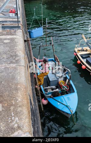 Fischer entlädt seinen Fang in Mullion Harbor, Cornwall Stockfoto