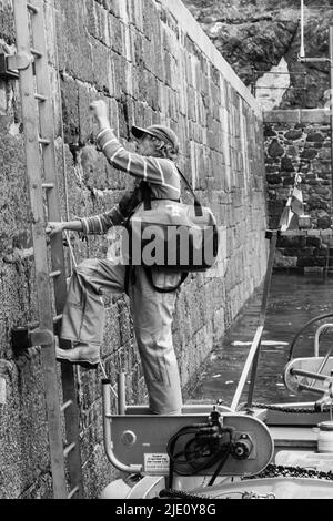 Fischer entlädt seinen Fang in Mullion Harbor, Cornwall Stockfoto