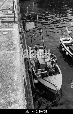 Fischer entlädt seinen Fang in Mullion Harbor, Cornwall Stockfoto