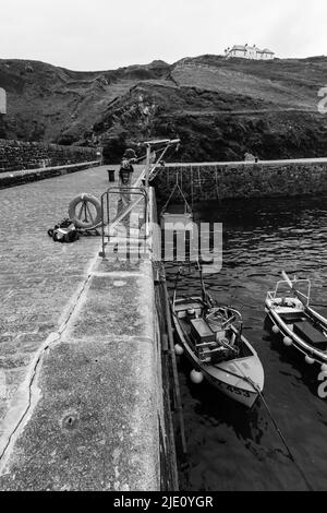 Fischer entlädt seinen Fang in Mullion Harbor, Cornwall Stockfoto