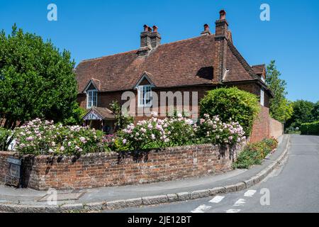 Hübsches Ferienhaus mit Rosen im Vorgarten, East Clandon Village, Surrey, England, UK Stockfoto