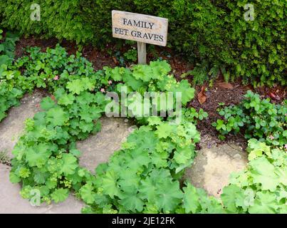 Das Haustier der Familie gräbt Chartwell bei Westerham Kent England UK Stockfoto