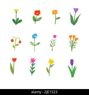 Von Hand gezeichnete Blumen auf weißem Hintergrund isoliert gesetzt. Stockfoto