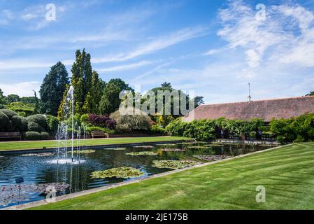 Formelles Lily Pon im Jellicoe Canal, RHS Wisley Garden, Surrey, England, Großbritannien Stockfoto