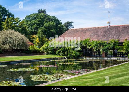 Formelles Lily Pon im Jellicoe Canal, RHS Wisley Garden, Surrey, England, Großbritannien Stockfoto