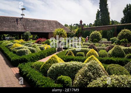 Der Knotengarten mit Topiarsträuchern, RHS Wisley Garden, Surrey, England, UK Stockfoto