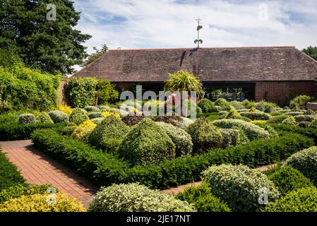 Der Knotengarten mit Topiarsträuchern, RHS Wisley Garden, Surrey, England, UK Stockfoto