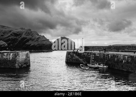 Blick auf Mullion Cove Harbor, Cornwall an einem Junimorgen Stockfoto