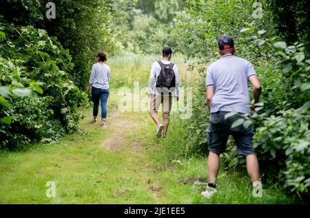 Bad Zwischenahn, Deutschland. 24.. Juni 2022. In einem Waldgebiet in der Nähe der Karl Jaspers Klinik im Bezirk Wehnen an der Stadtgrenze Oldenburgs suchen Freiwillige nach einem vermissten Jungen, Joe. Bei der tagelang andauerten Suche nach dem vermissten Achtjährigen in Oldenburg hat die Polizei zudem eine Mordkommando eingesetzt. Quelle: Hauke-Christian Dittrich/dpa/Alamy Live News Stockfoto