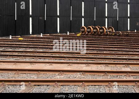 Bochum-Dahlhausen, Eisenbahnmuseum, Ringlokschuppen mit Drehscheibe Stockfoto