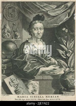 Porträt von Maria Sibylla Merian, hinter Maria Sibylla Merian eine Personifizierung des Kampfes mit einem Baum der Freiheit (niederländische Jungfrau). An der Wand das Wappen von Den Haag. Im Vordergrund Muscheln und Pflanzen. Text in lateinischer Sprache am unteren Rand. Druck ist Teil eines Albums., Druckerei: Jacob Houbraken, (auf Objekt erwähnt), nach Malerei von: Georg Gsell, (auf Objekt erwähnt), 1708 - 1780, Papier, Radierung, Gravur, Höhe 165 mm × Breite 124 mm Stockfoto
