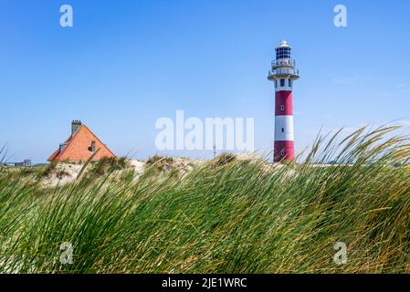 Leuchtturm und Leuchtturmwärter / Leuchtturm in den Dünen des Naturreservats De IJzermonding in Nieuwpoort / Nieuport, Westflandern, Belgien Stockfoto