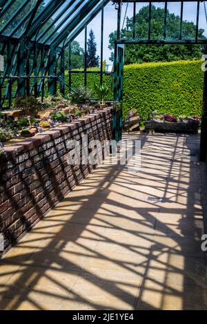 Alpenblumen-Gewächshaus, RHS Wisley Gardens, Surrey, England, Großbritannien Stockfoto