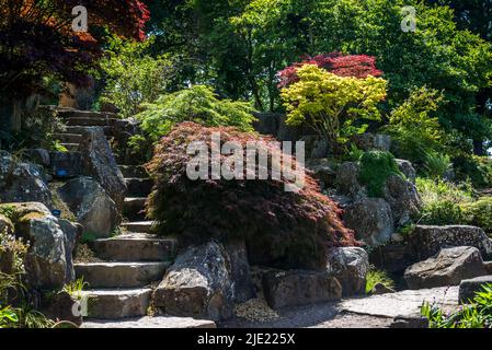 The Rock Garden, RHS Wisley Gardens, Surrey, England, Großbritannien Stockfoto