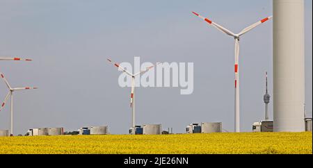 Osterburg, Deutschland. 10.. Mai 2022. Tieflader mit Turmelementen von Windenergieanlagen stehen in einem Rapsfeld in der Altmark-Region und warten darauf, entladen zu werden. Die Nachfrage nach erneuerbaren Energien steigt durch den Ukraine-Krieg. Dadurch rüstet sich die Windenergiebranche für die IT und Unternehmen suchen wieder zunehmend nach Windenergietechnikern. Quelle: Peter Gercke/dpa/Alamy Live News Stockfoto