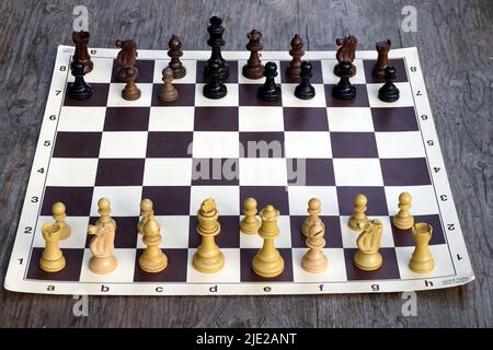 Ein professionelles Turnierschachbrett mit den 32 Schachfiguren, die vor dem Beginn eines Spiels platziert wurden Stockfoto