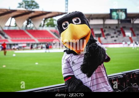 Erfurt, Deutschland. 24.. Juni 2022. DFB-Maskottchen Paule vor dem internationalen Freundschaftsspiel zwischen Deutschland und der Schweiz im Steigerwaldstadion in Erfurt. Norina Toenges/Sports Press Foto: SPP Sport Press Foto. /Alamy Live News Stockfoto