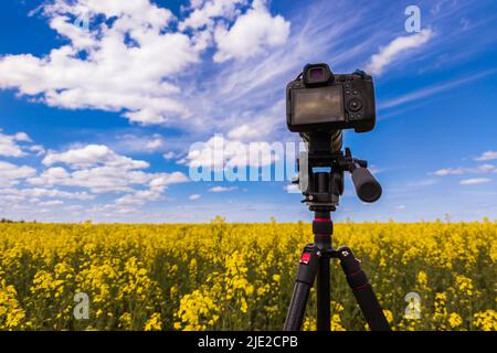 Moderne professionelle spiegellose Kamera auf Stativ Aufnahme von gelbem Feld auf Stativ, Nahaufnahme Stockfoto