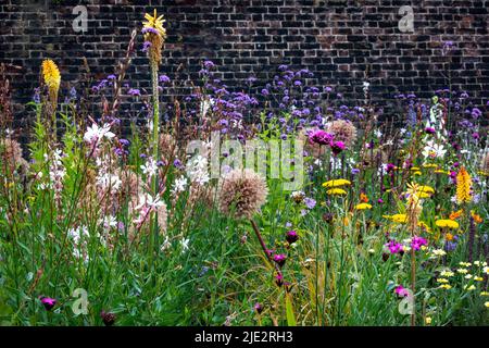 Sommer-Wildblumen-„Superbloom“-Ausstellung im Graben am Tower of London, England, zur Feier des Platin-Jubiläumsjahres von HM the Queen. Stockfoto