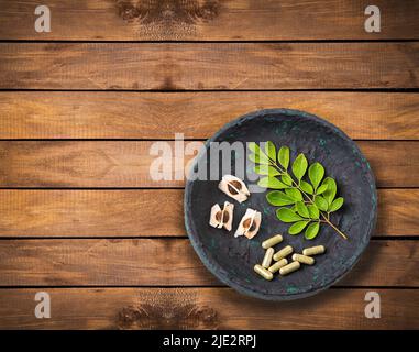 Moringa Blätter, Samen und Kapseln - Moringa oleifera Stockfoto